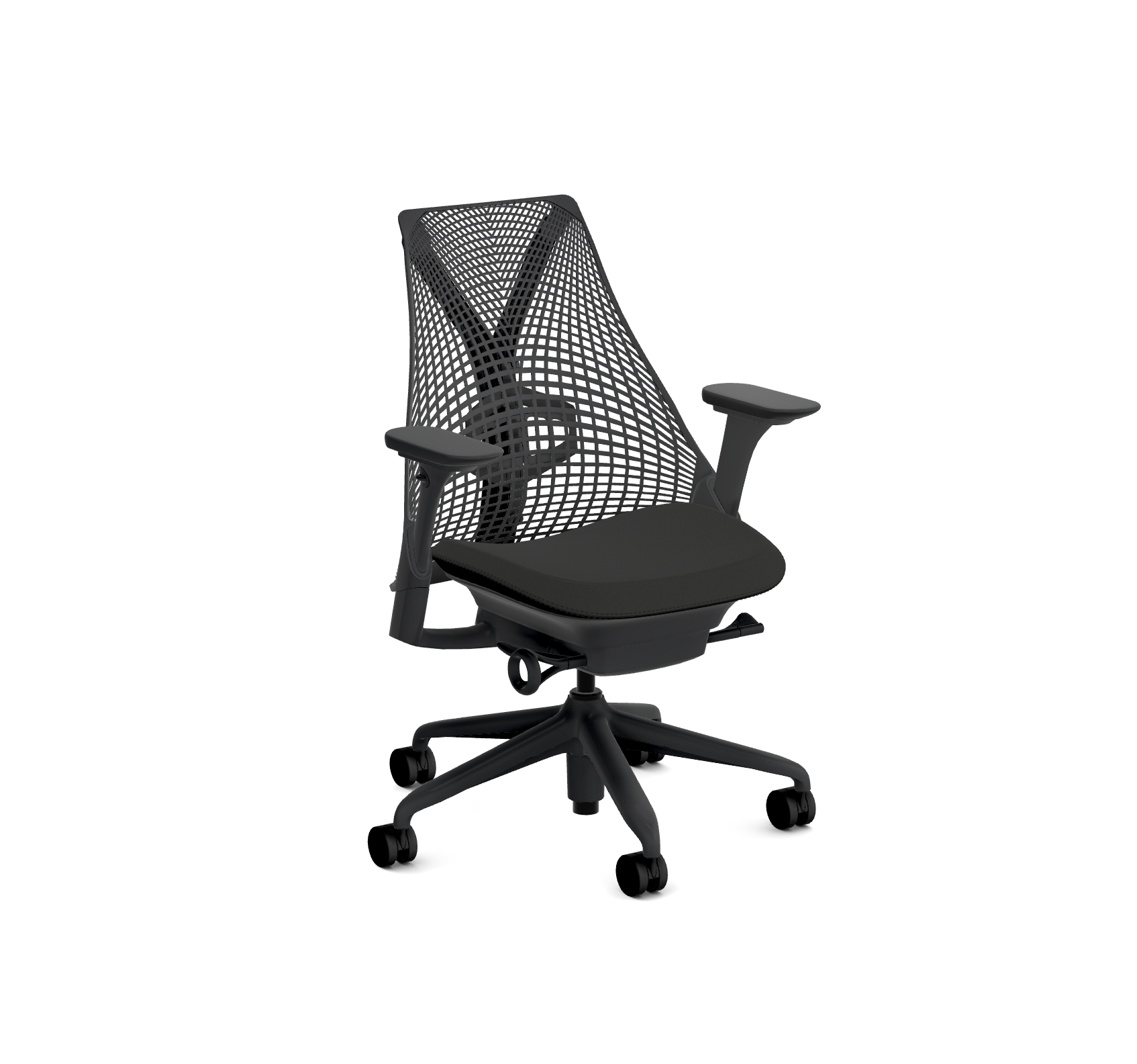 Black Sayl Special Edition