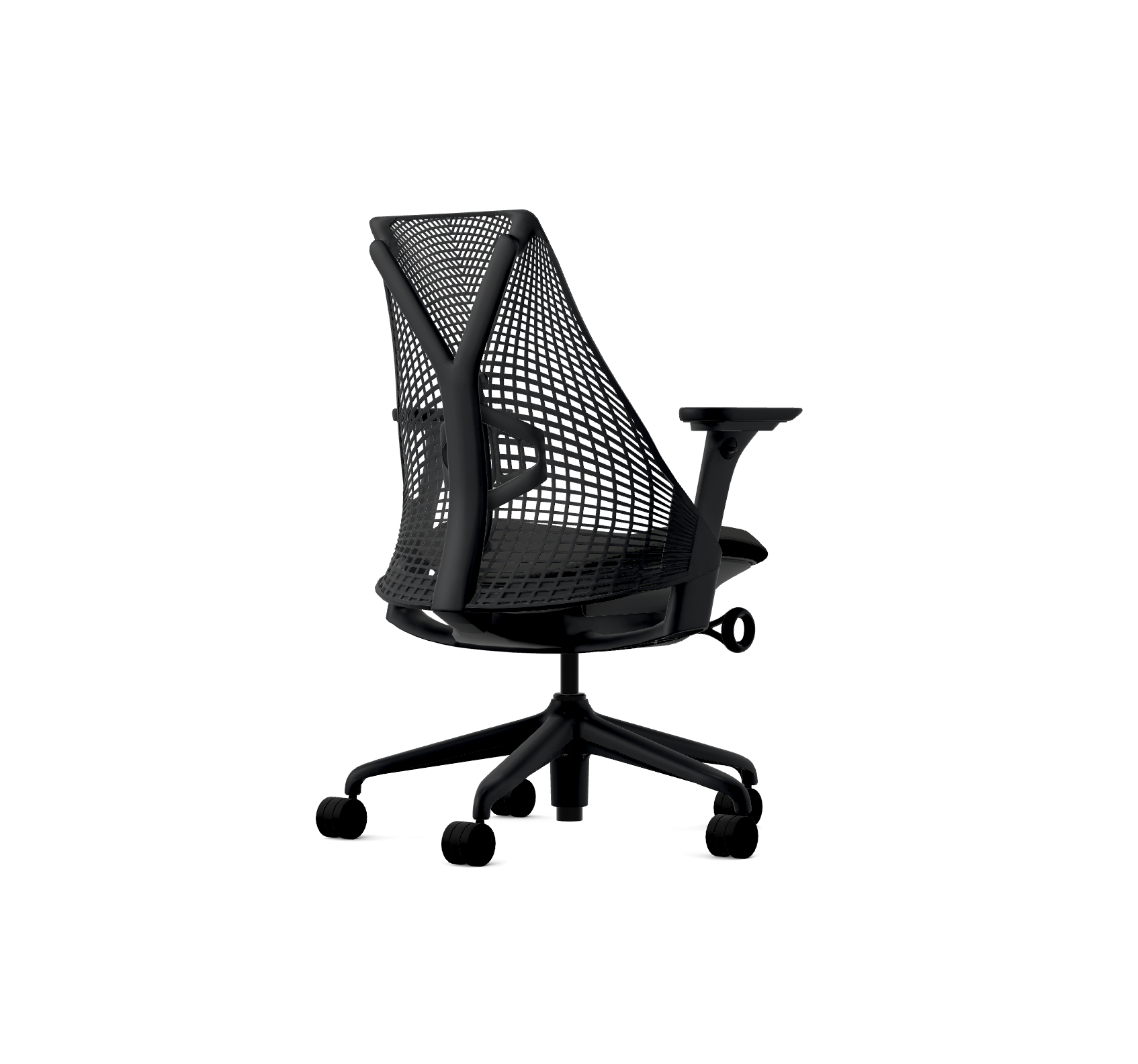 Black Sayl Special Edition