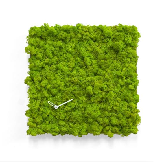 Clock_Circle Rectangle